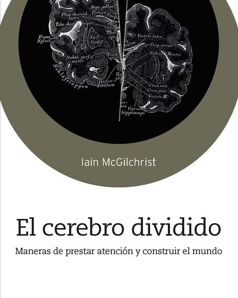 EL CEREBRO DIVIDIVO