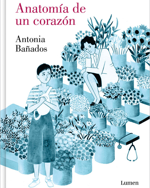 anatomia-de-un-corazon