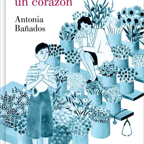 anatomia-de-un-corazon