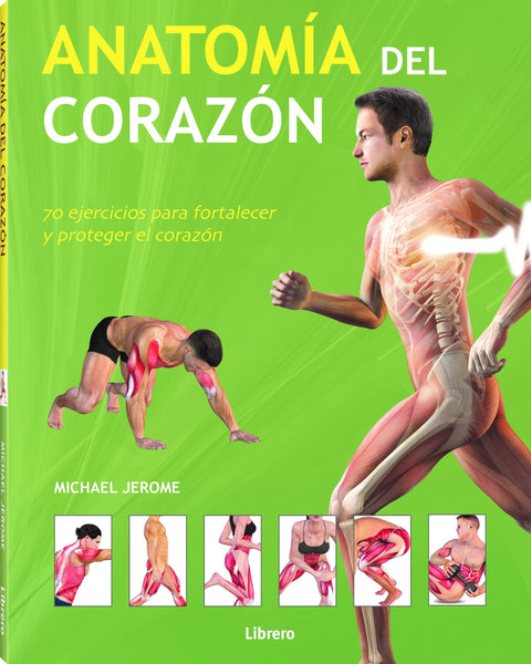 ANATOMIA DEL CORAZON