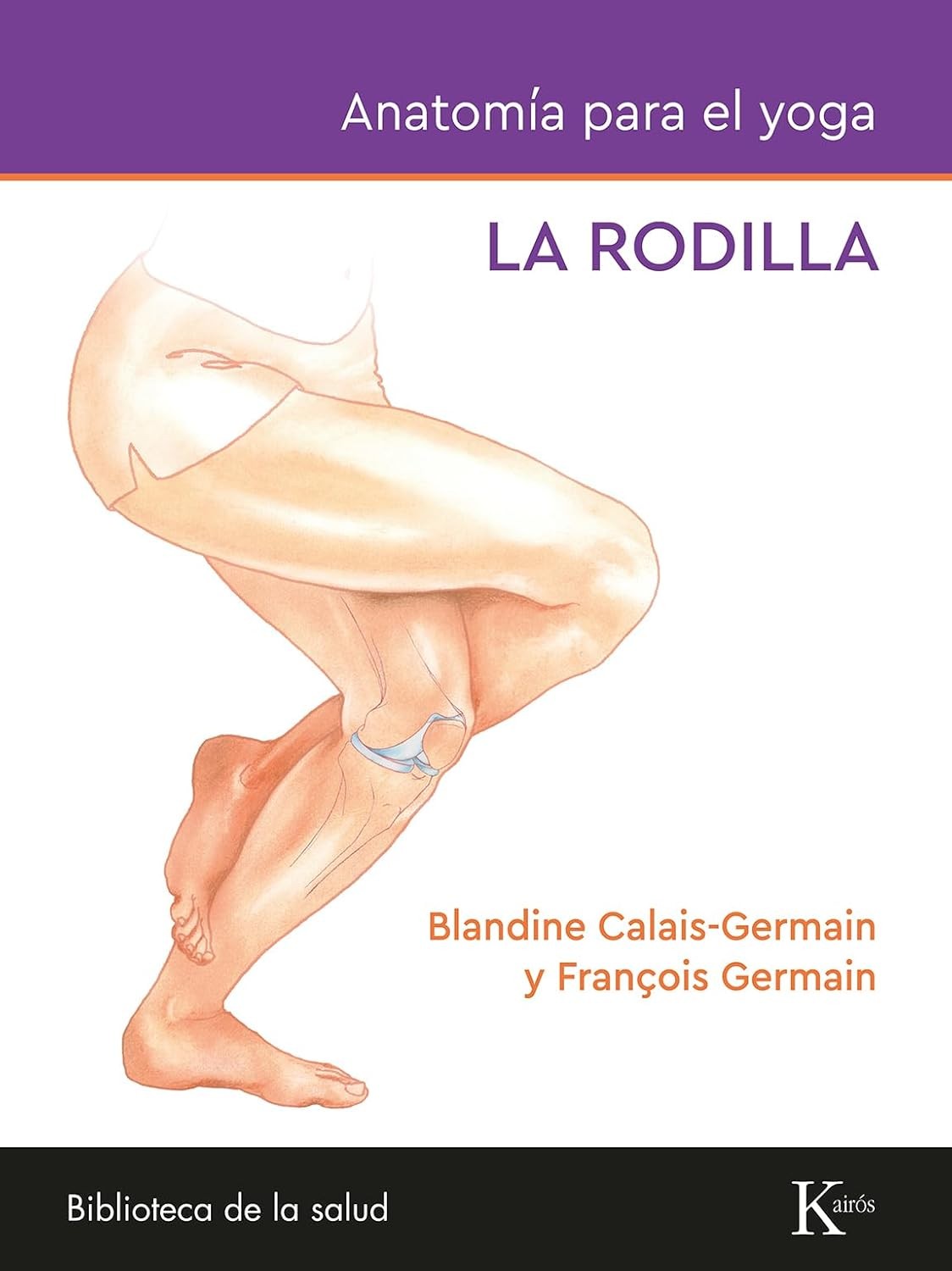 ANATOMIA DEL YOGA - LA RODILLA