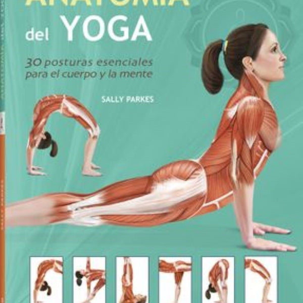 ANATOMIA DEL YOGA