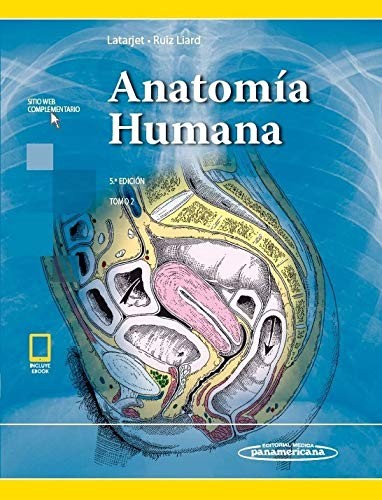 ANATOMIA HUMANA