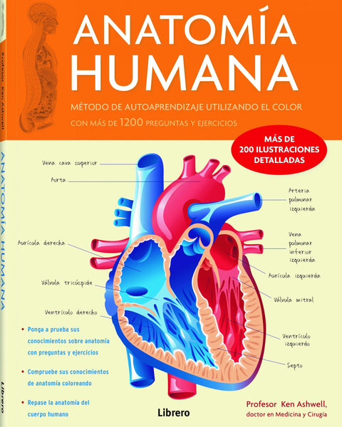 ANATOMIA HUMANA