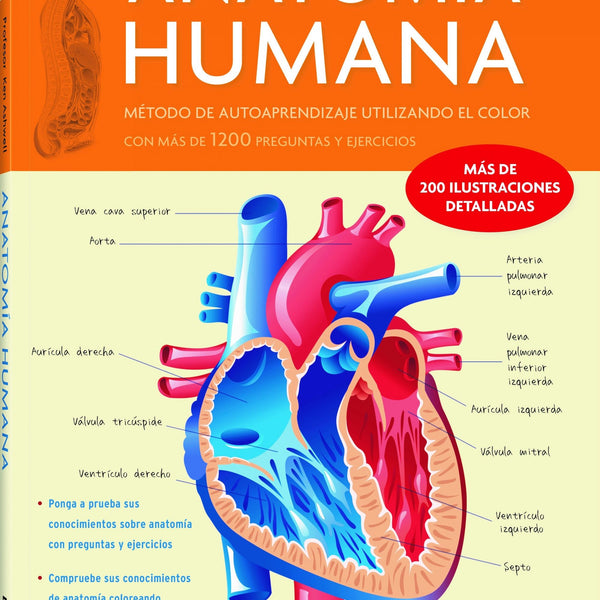 ANATOMIA HUMANA