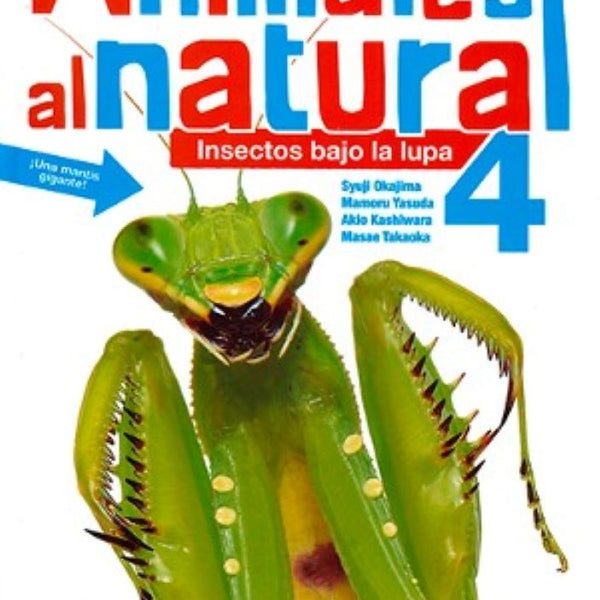 ANIMALES AL NATURAL 4. INSECTOS BAJO LA LUPA