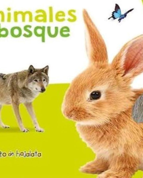 ANIMALES DEL BOSQUE - TOCO Y DESCUBRO