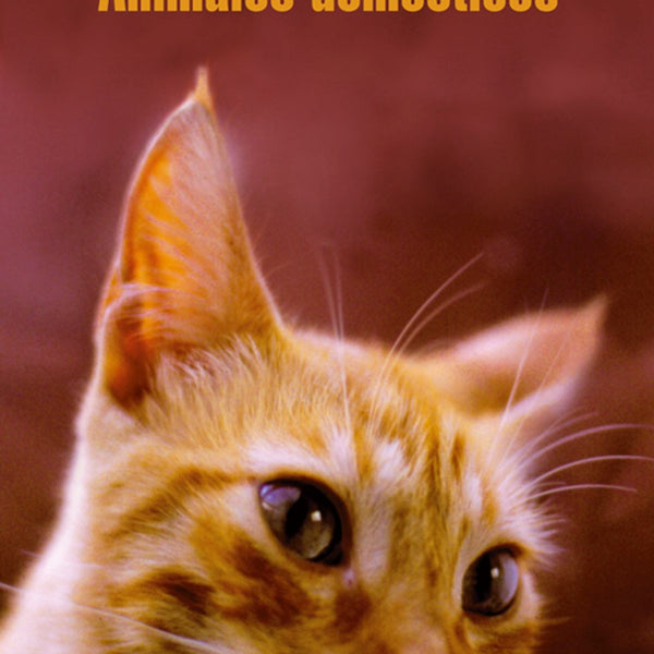 ANIMALES DOMESTICOS