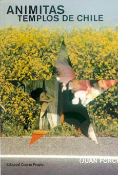 ANIMITAS TEMPLOS DE CHILE