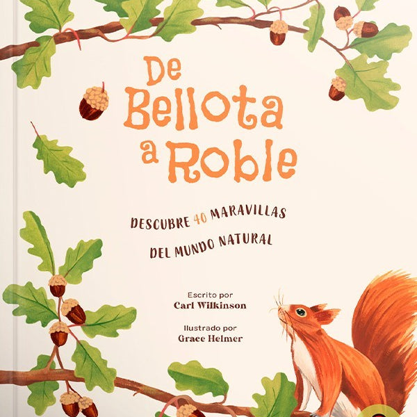 DE BELLOTA A ROBLE