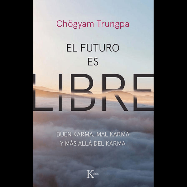 EL FUTURO ES LIBRE: BUEN KARMA, MAL KARMA Y MAS ALLA DEL KARMA
