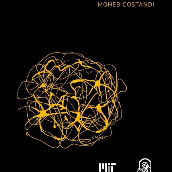 NEUROPLASTICIDAD