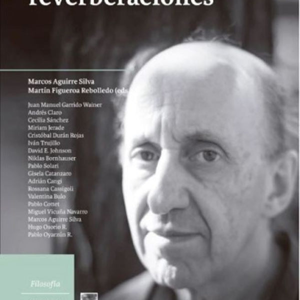 PABLO OYARZUN: REBERVERACIONES