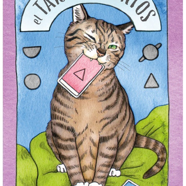 TAROT DE LOS GATOS EL (libro + cartas)