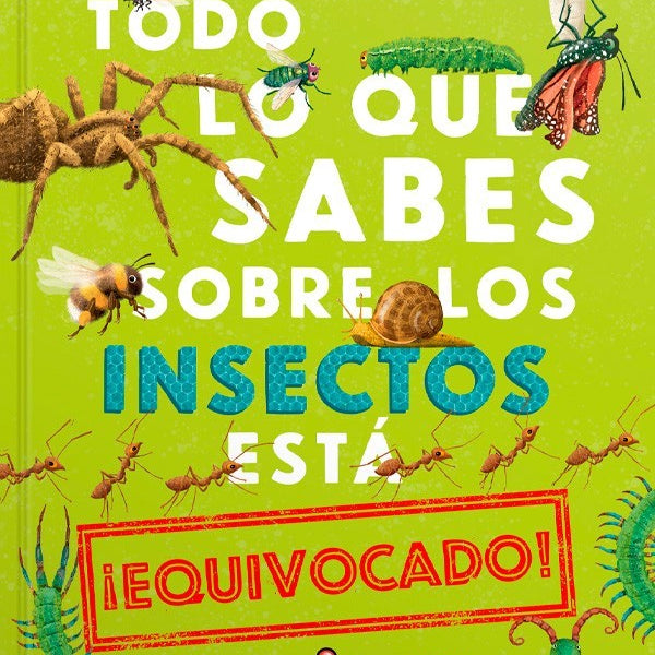 TODO LO QUE SABES SOBRE LOS INSECTOS ESTA EQUIVOCADO