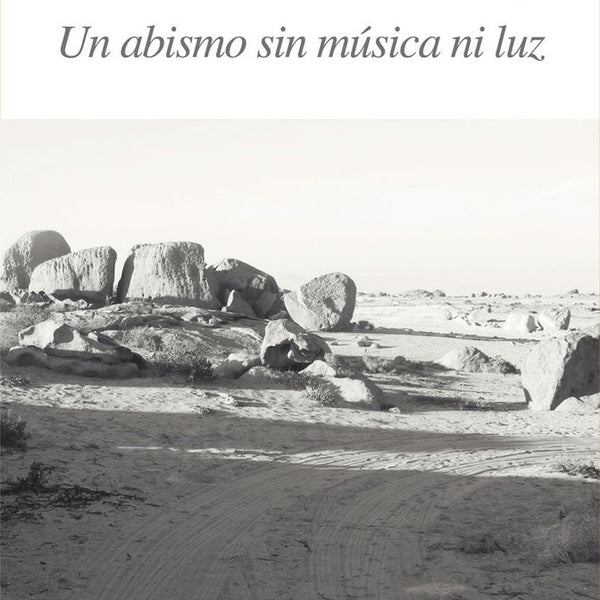 UN ABISMO SIN MUSICA NI LUZ