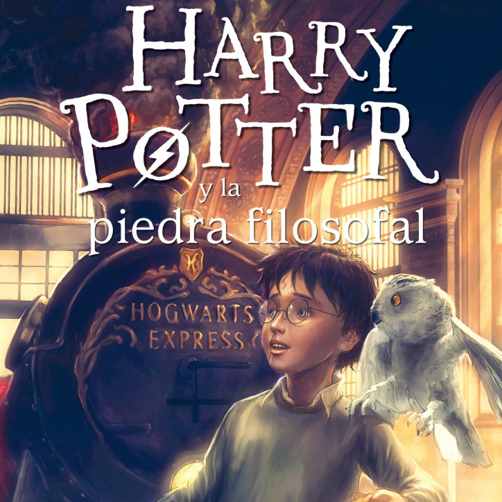 HARRY POTTER Y LA PIEDRA FILOSOFAL  1 - RUSTICO