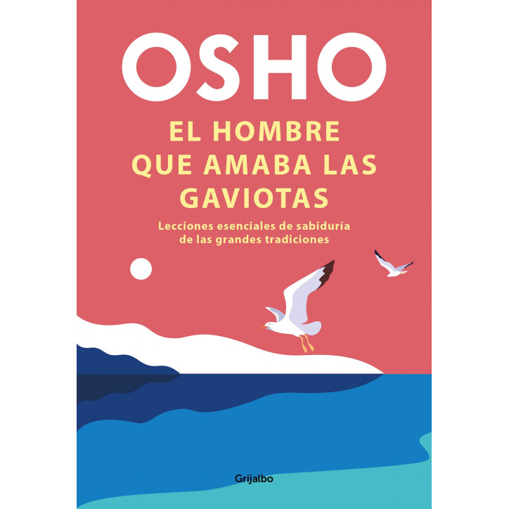 EL HOMBRE QUE AMABA LAS GAVIOTAS