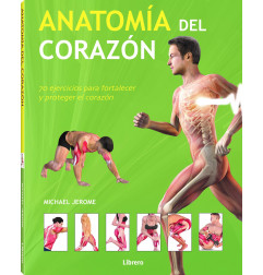 ANATOMIA DEL CORAZON