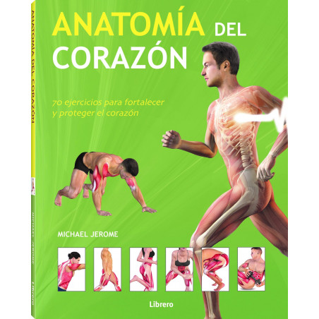 ANATOMIA DEL CORAZON