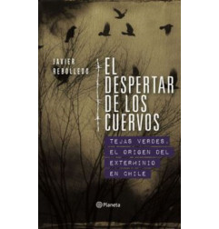 EL DESPERTAR DE LOS CUERVOS