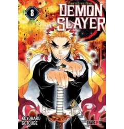 DEMON SLAYER - KIMETSU NO YAIBA 08