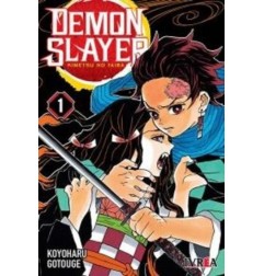 DEMON SLAYER - KIMETSU NO YAIBA 01