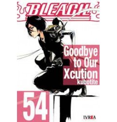 BLEACH 54