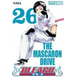 BLEACH 26