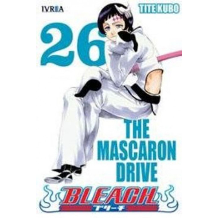 BLEACH 26