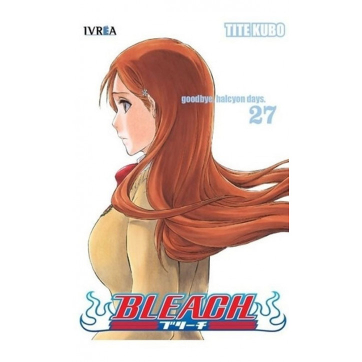 BLEACH 27