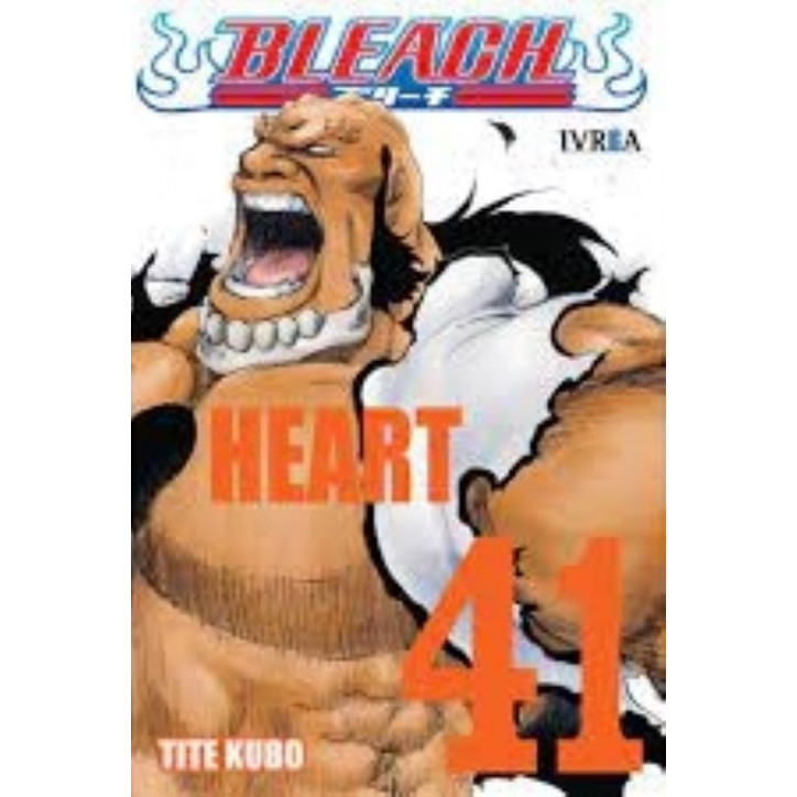 BLEACH 41