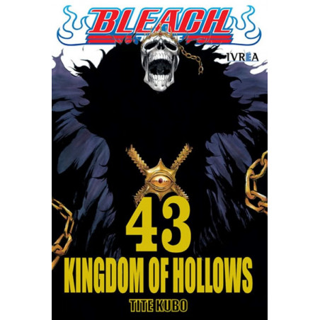 BLEACH 43