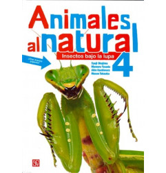ANIMALES AL NATURAL 4. INSECTOS BAJO LA LUPA