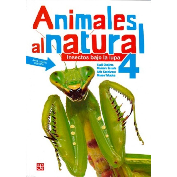 ANIMALES AL NATURAL 4. INSECTOS BAJO LA LUPA