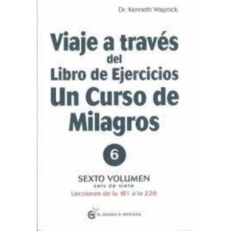 VIAJE A TRAVÉS DEL LIBRO DE EJERCICIOS DE UN CURSO DE MI (VI)