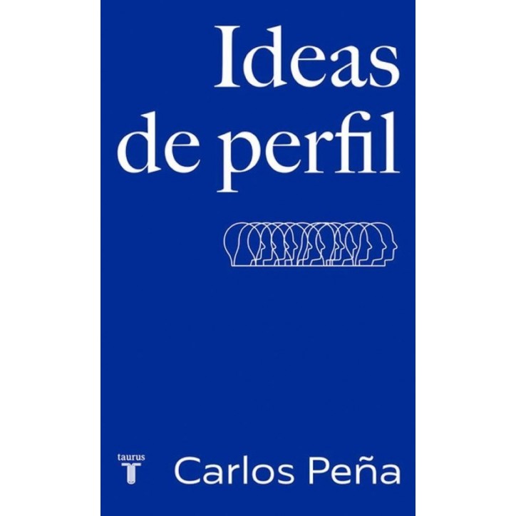 IDEAS DE PERFIL