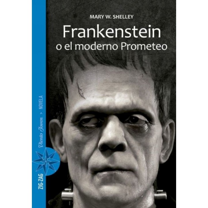 FRANKENSTEIN O EL MODERNO PROMETEO