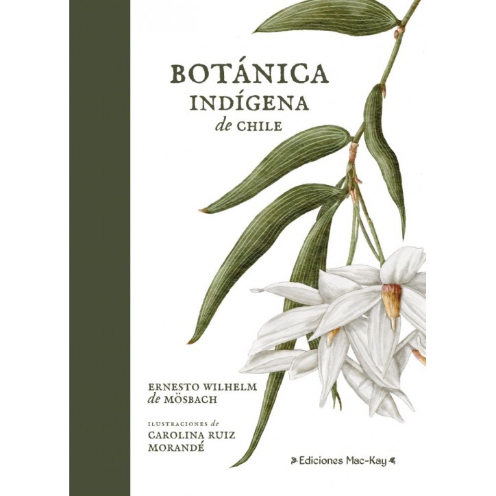 BOTANICA INDIGENA DE CHILE