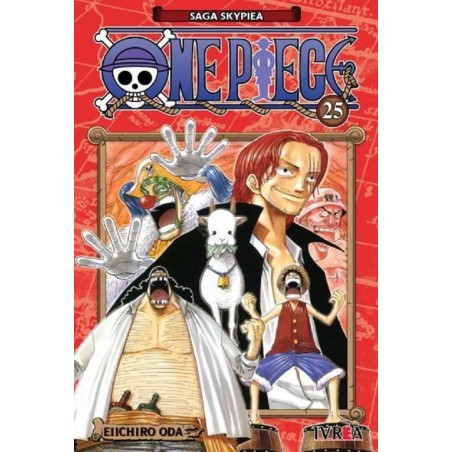 ONE PIECE 25