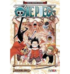 ONE PIECE 43