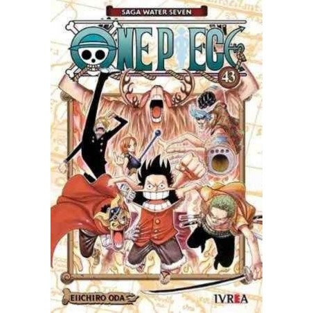 ONE PIECE 43