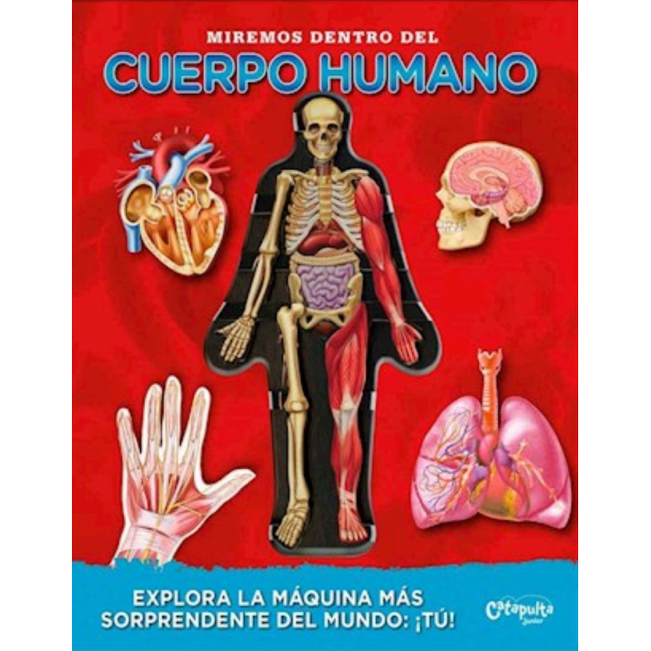 MIREMOS DENTRO DEL CUERPO HUMANO