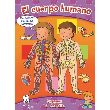 EL CUERPO HUMANO