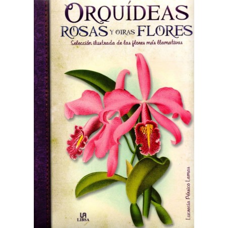 ORQUIDEAS ROSAS Y OTRAS FLORES