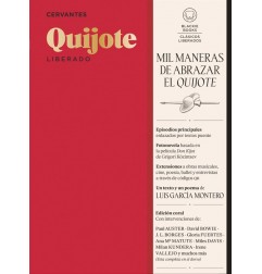 QUIJOTE LIBERADO