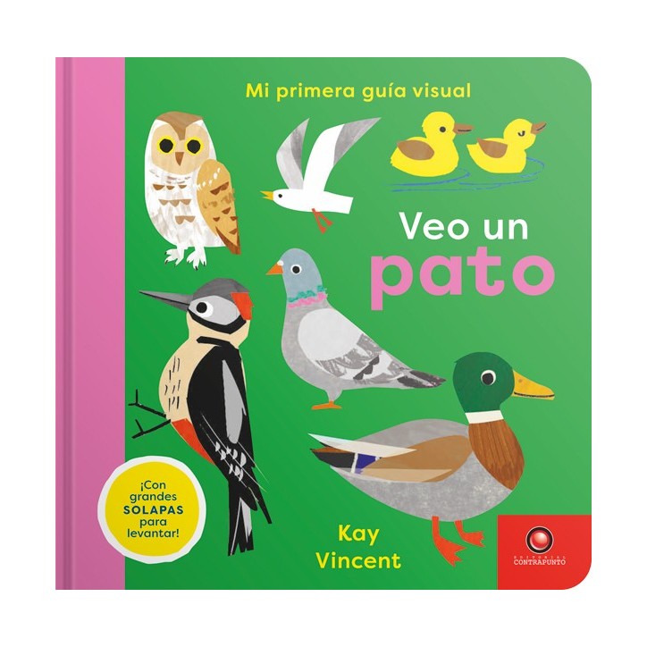 MI PRIMERA GUIA VISUAL. VEO UN PATO