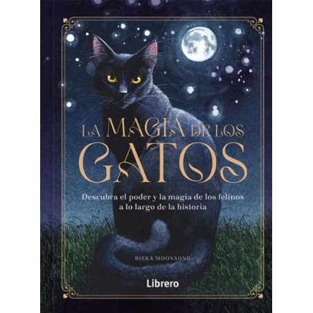 LA MAGIA DE LOS GATOS