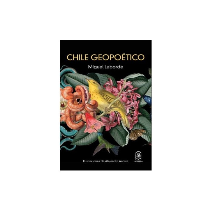 CHILE GEOPOETICO