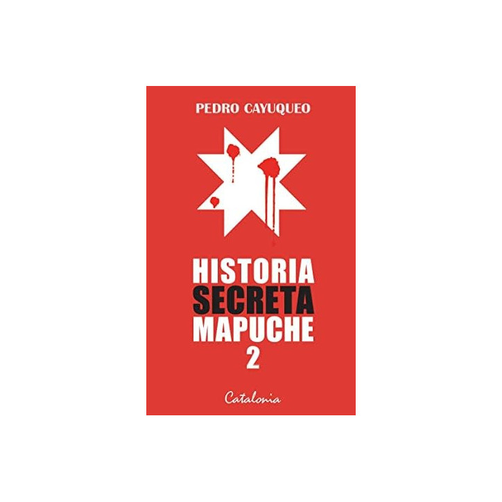 HISTORIA SECRETA MAPUCHE 2